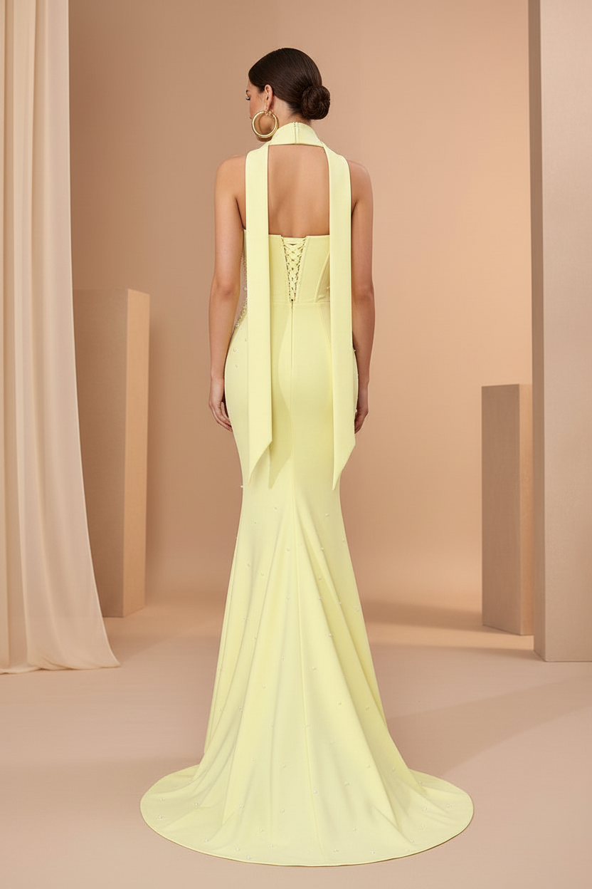 Back View